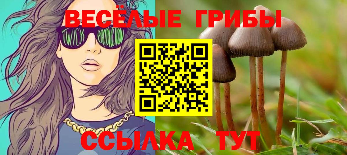 Псилоцибиновые грибы Psilocybine cubensis  Псилоцибиновые грибы Cubensis  купить   Вход с VPN  Мценск 